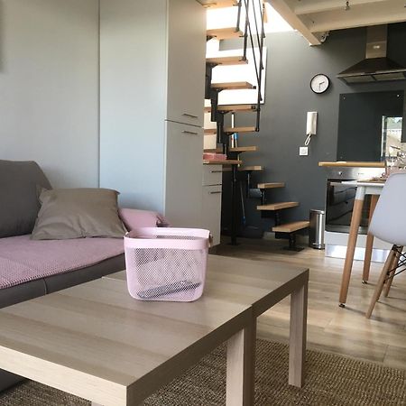 Les Spas De La Chartreuse Tarbes Luaran gambar